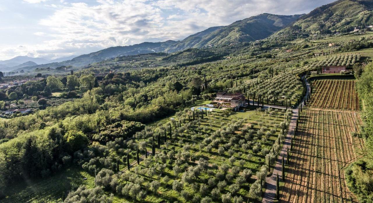 Accogliente Alloggio Con Vista E Piscina ลุคคา ภายนอก รูปภาพ